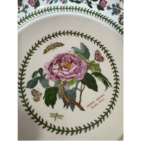 Vintage Portmeirion Variations Botanical Susan Williams-Ellis - 2 Dinner Plates - Picture 7 of 12